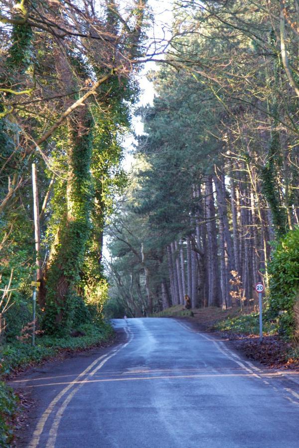 Formby Pinewood Studio Bed and Breakfast Εξωτερικό φωτογραφία